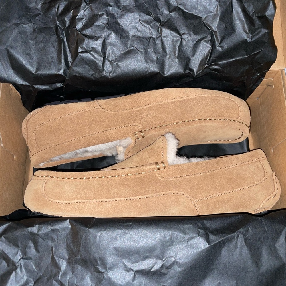 Ugg Slippers